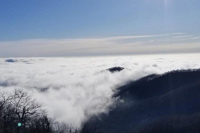 Mountain majesty 2
