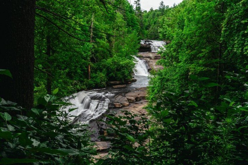 Blue Ridge Parkway and Waterfall Hiking Tour from Asheville 5