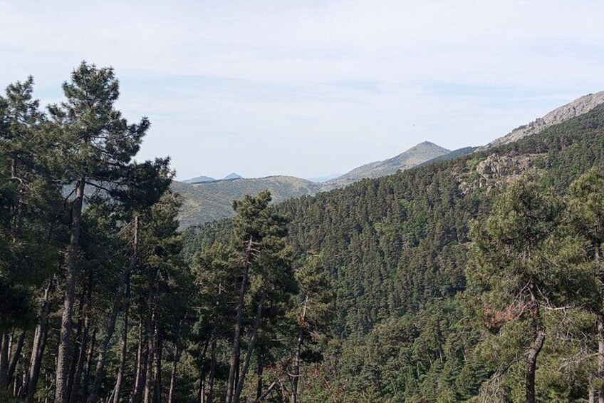 Hiking Boutique with Official Guide in Madrid 5
