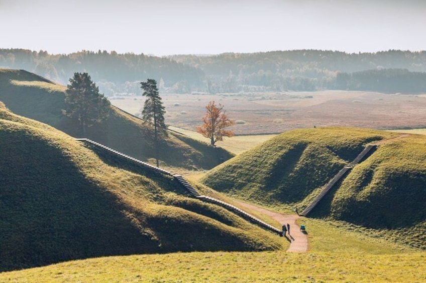 Rolling hills, a winding path, and a lone tree in a hilly landscape. 4