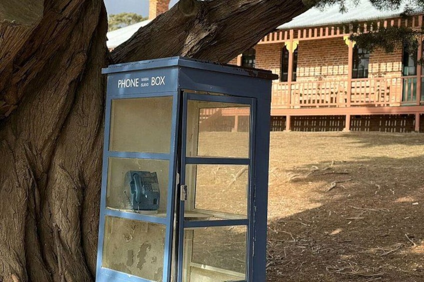 A blue phone booth with a telephone inside, located under a large tree. 2