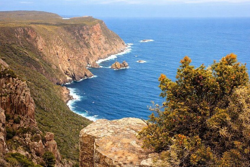 Hobart Cape Hauy Adventure Hike Dramatic Cliffs and Wild Beauty 3