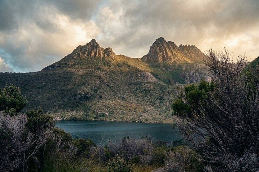 Cradle Mountain Day Tour from Launceston 2