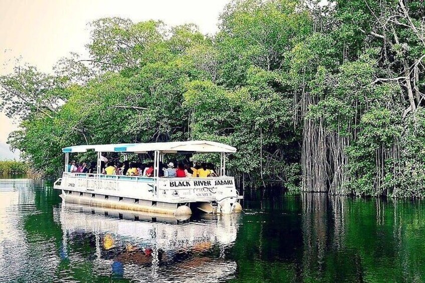 A boat named 'Black River Safari' on a calm river surrounded by dense greenery. 4