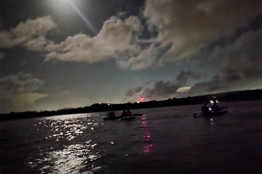 Clear Kayaks on BioBay 2