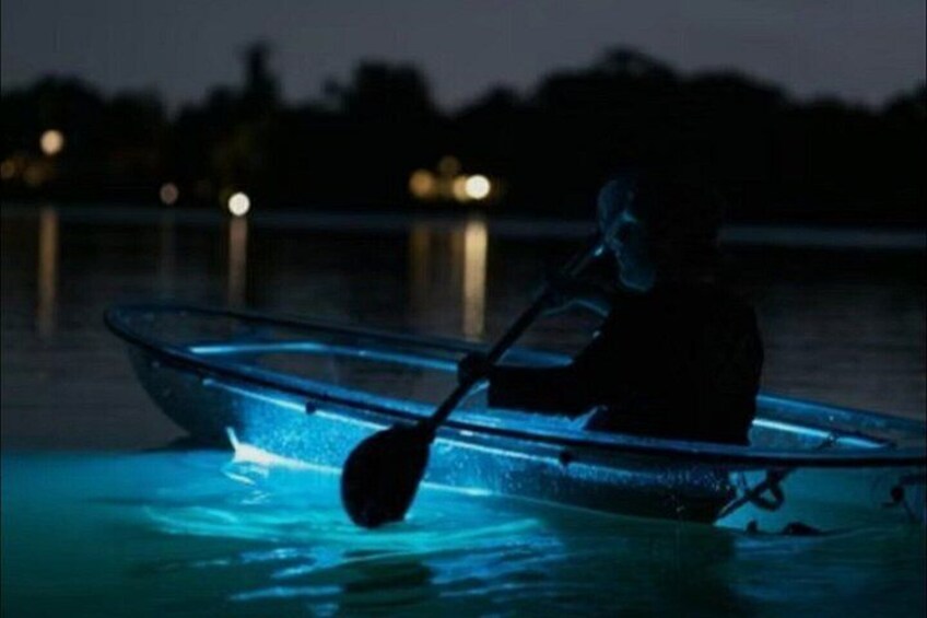 Clear Kayaks on BioBay 1