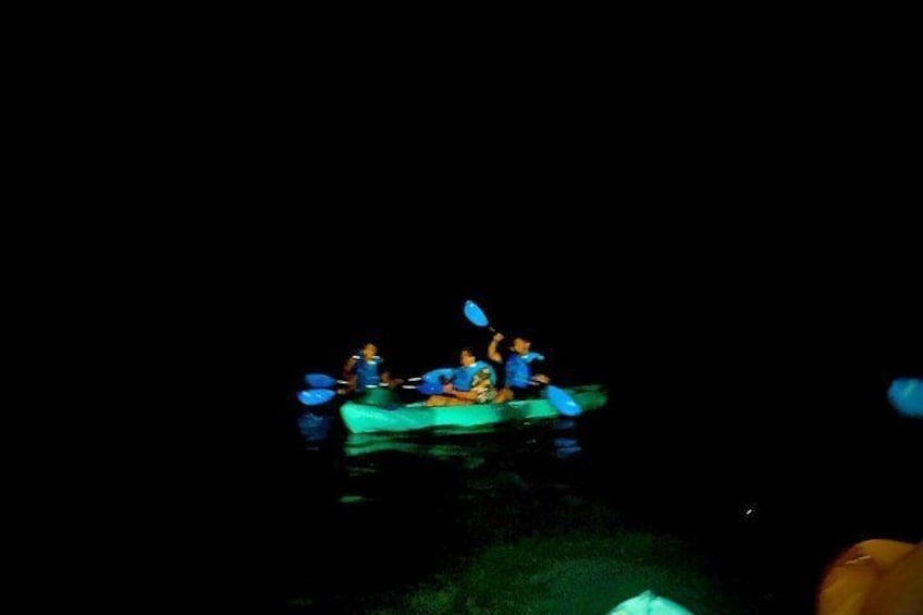 Clear Kayaks on BioBay 2