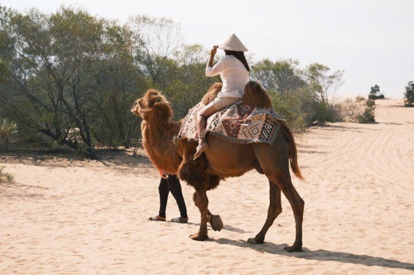 A person riding a camel in a desert with sparse vegetation. 3