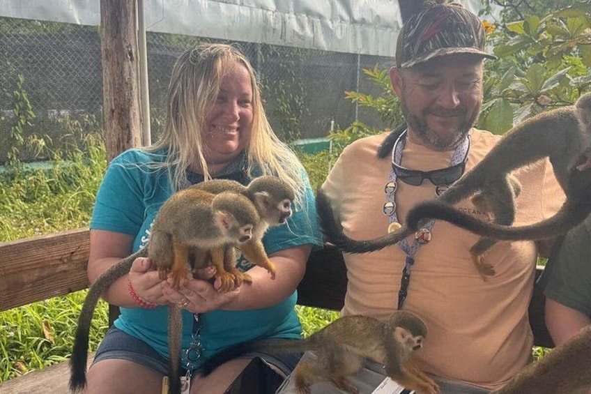 A person holding two small monkeys, with a fence and greenery in the background. 2