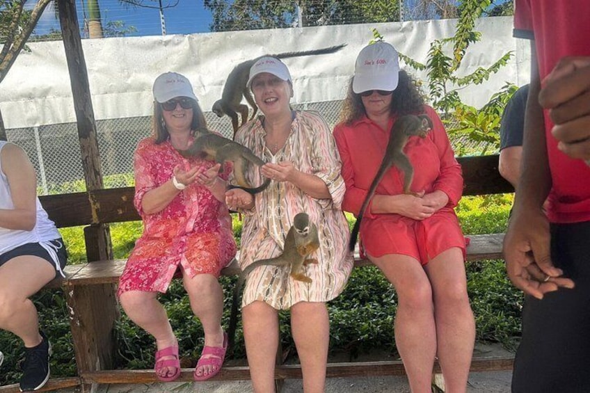 Three people sitting on a bench with a monkey on each person's lap. 3