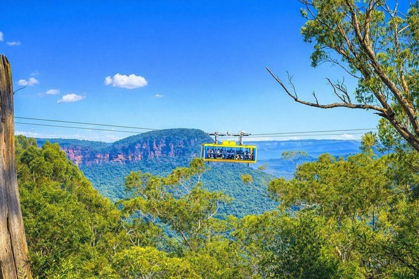 Sydney 3-Day Luxury Private Tour for Seniors with Chauffeur 2
