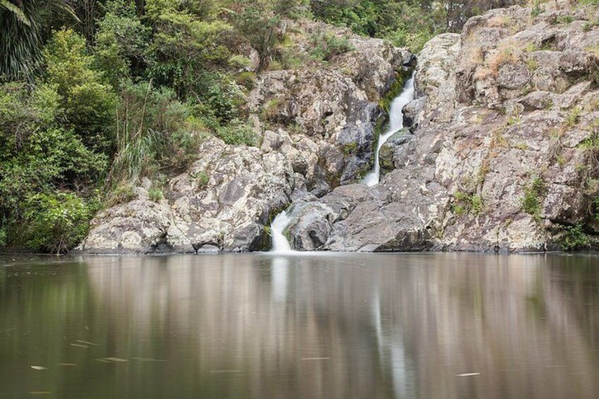 Auckland Waterfall Tour 4