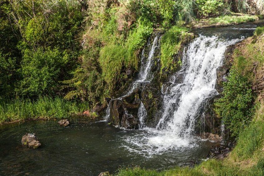 Auckland Waterfall Tour 2