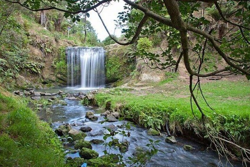 Auckland Waterfall Tour 5