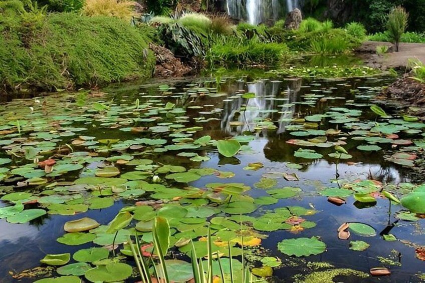 Auckland Waterfall Tour 3