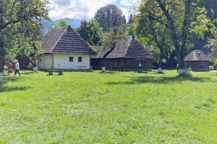 A rural setting with traditional wooden houses, a grassy field, and trees. 2