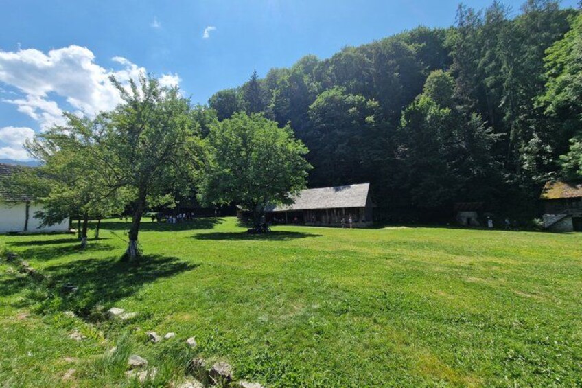 A grassy field with trees and a building. 3