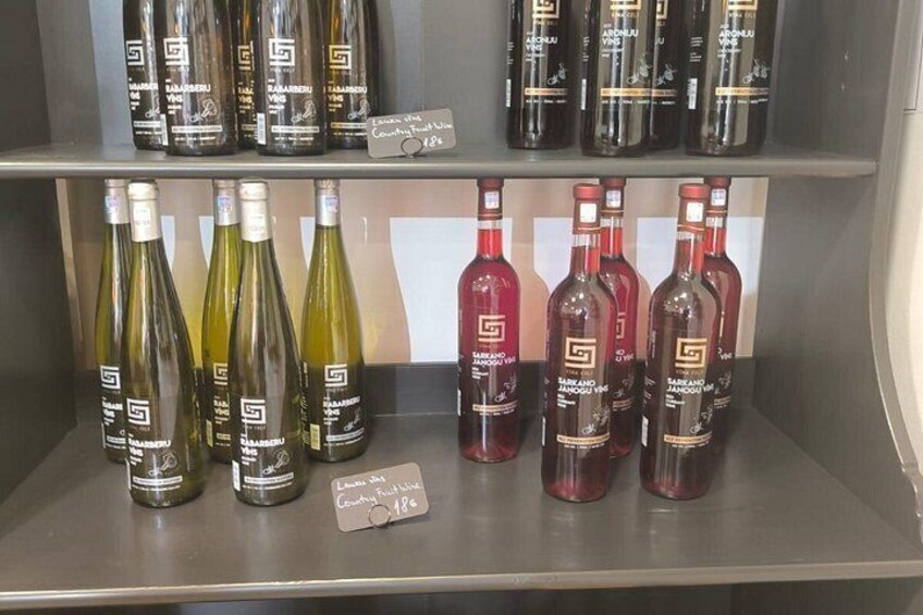 Riga Sip and Paint Experience with Latvian Wine Tasting 2