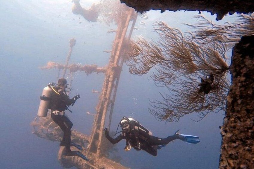 Aqaba Private Scuba Diving Activity with Pick Up 2