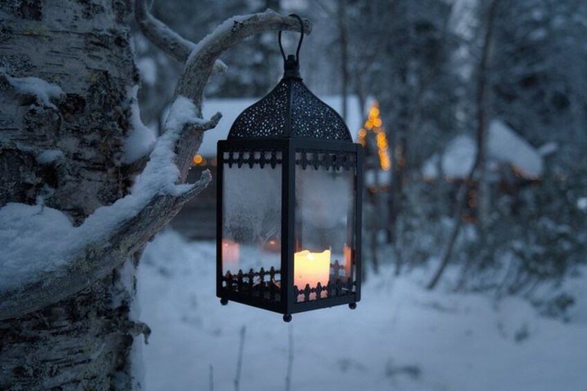 A lantern hanging on a snow-covered tree branch in a forest. 3
