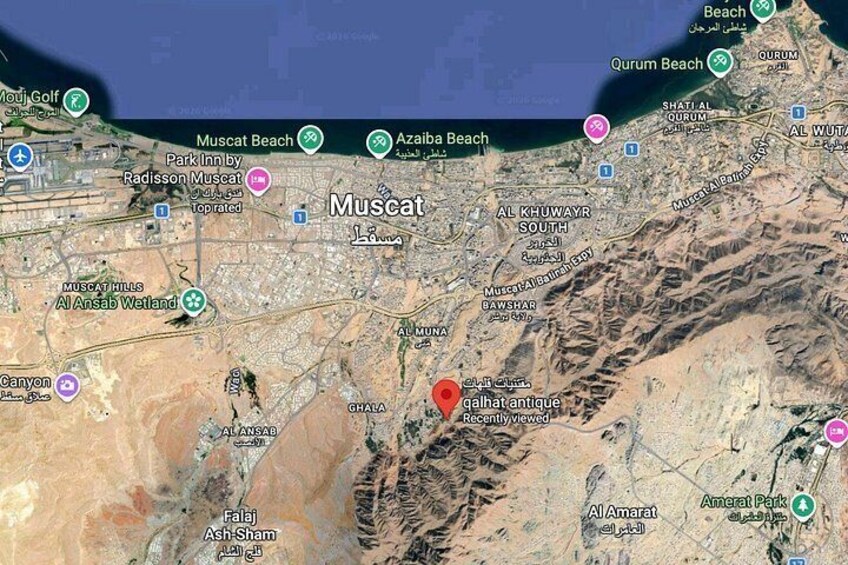 Daymaniyat Turtles with Omani Village and Home Lunch Experience 4