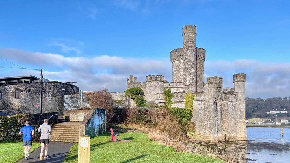 A castle with stone walls and towers, a grassy area with a path, and a body of water in the background. 5