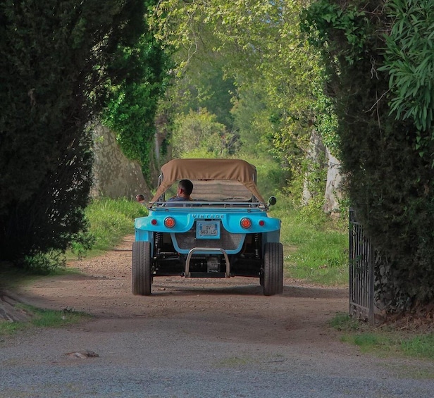 A vintage blue jeep with a brown cover parked on a dirt road surrounded by greenery. 2