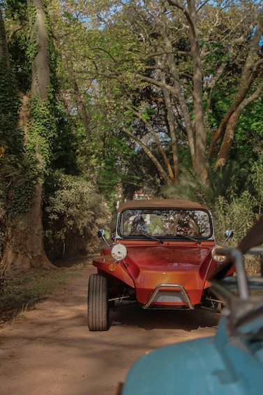 A vintage red car parked on a dirt path surrounded by dense greenery. 3