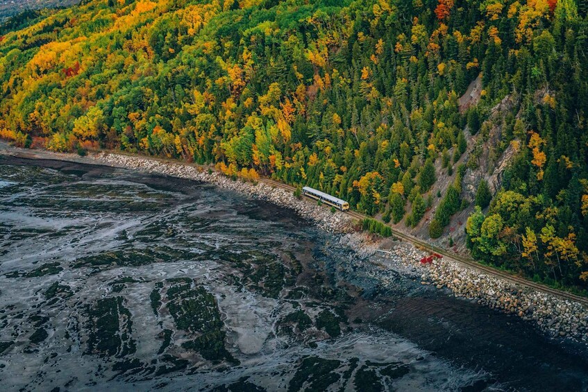 A train traveling along a coastal track surrounded by autumn-colored forests. 4