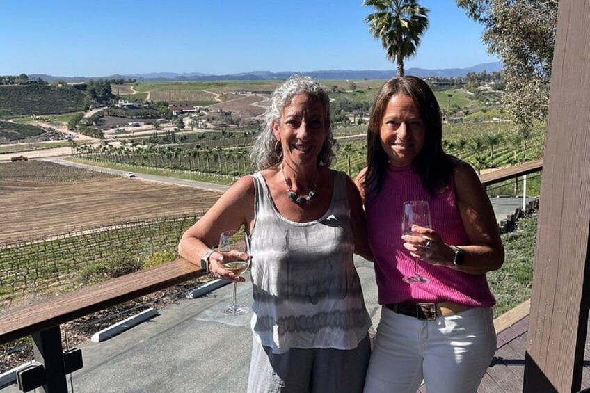 Two people standing on a balcony overlooking a vineyard. 3