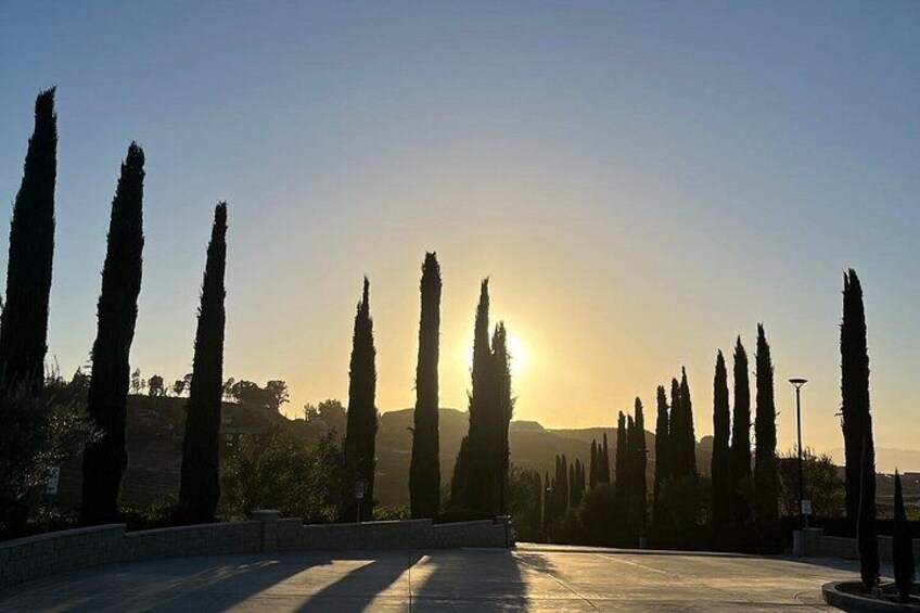 Temecula SUV Boutique Winery Tour 3