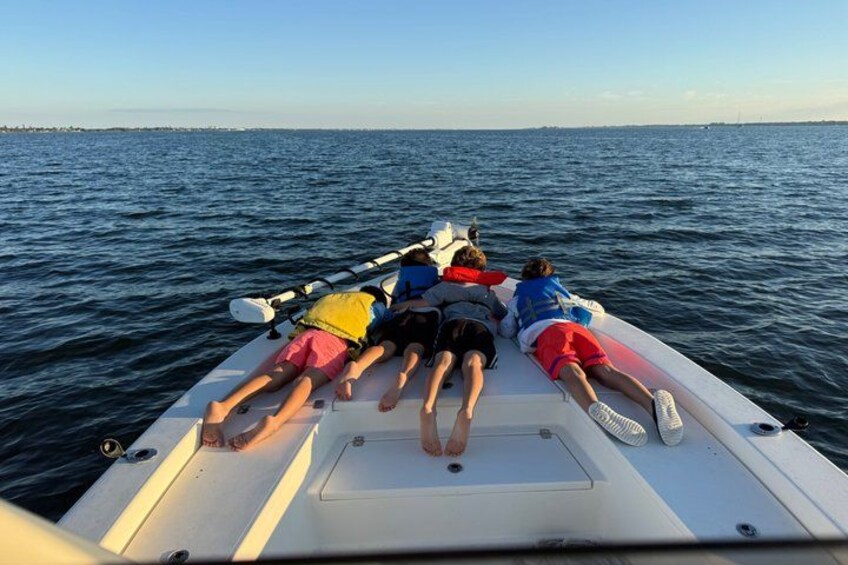 Sebastian Inlet Private Charter Fishing and Eco Tours 1
