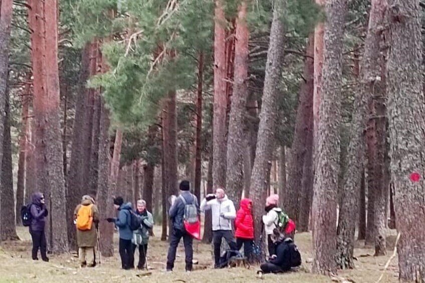 A group of people in a forested area with tall trees. 4
