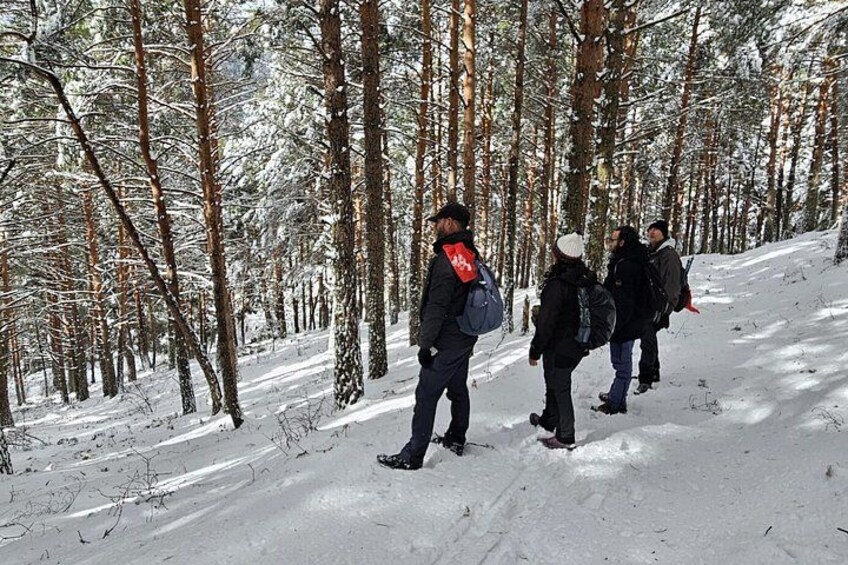 A snowy forest with people walking. 3