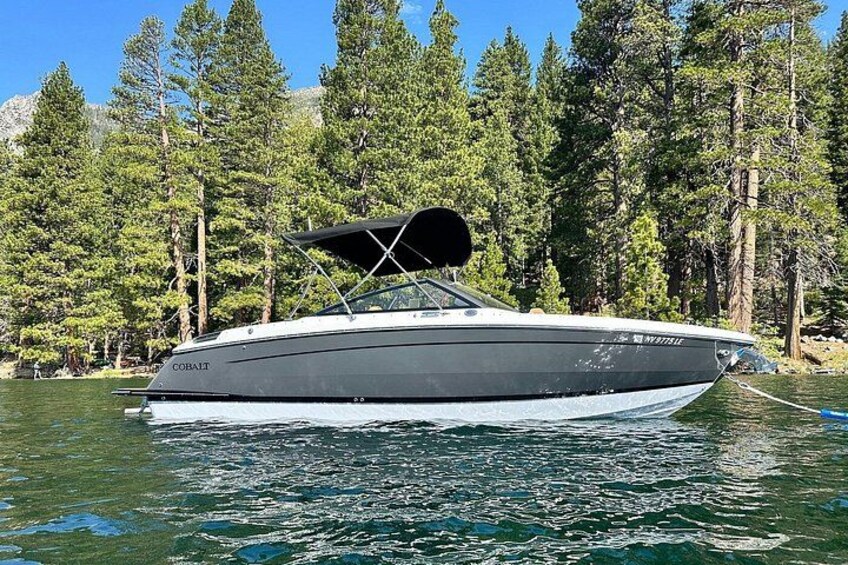 A boat named 'Cobalt' on a lake surrounded by trees. 1