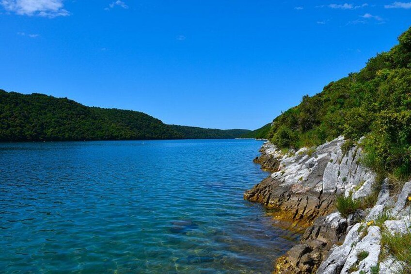 Lim Bay & Vrsar Islands Private Snorkeling Tour 3