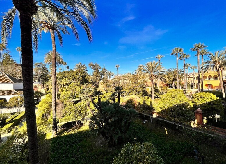 A lush garden with palm trees and a variety of shrubs, surrounded by buildings with traditional architecture. 3