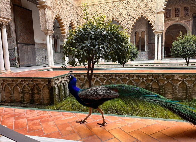 A peacock walking on a tiled courtyard with ornate arches and a tree. 2