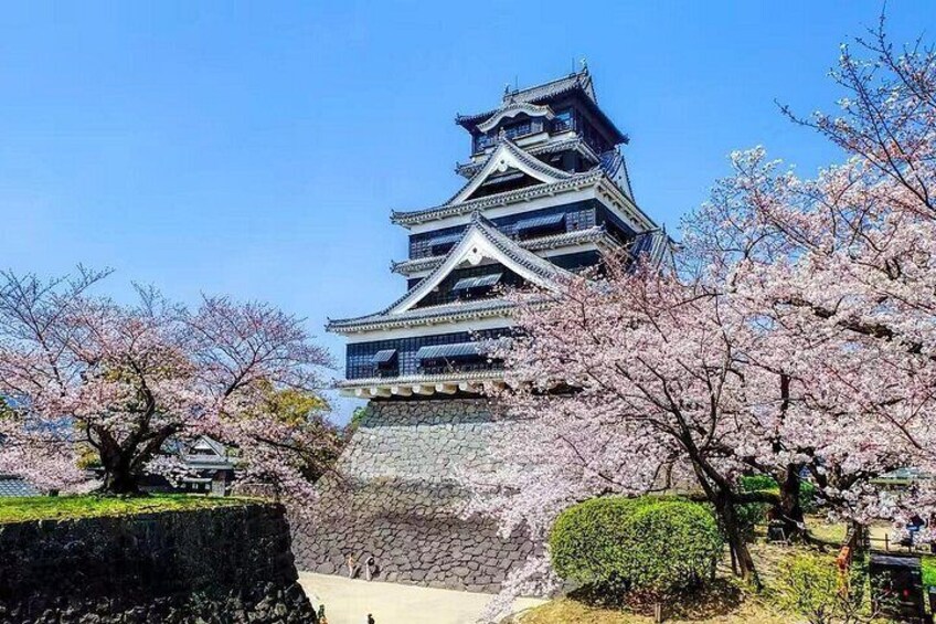 Kumamoto Castle, Mount Aso and Kusasenri 1 Day Tour 1