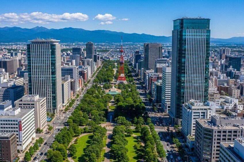 Sapporo: Private Custom Tour with Local Guide 1