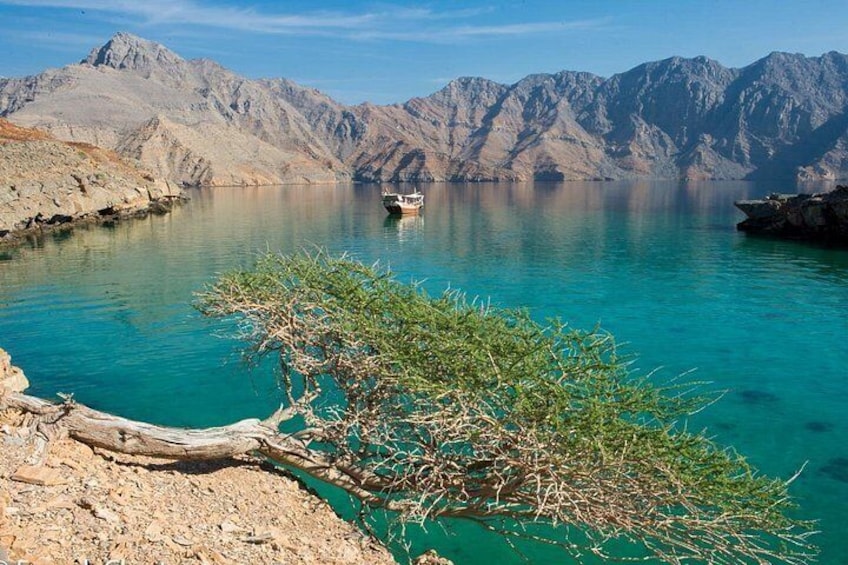Khasab Musandam Half Day Dhow Cruise 4