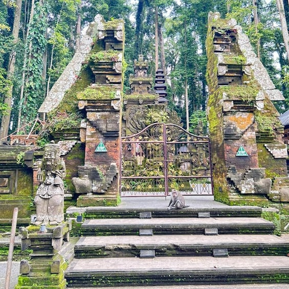 A temple with stone carvings, a monkey on the steps, and a gate with a stop sign. 2