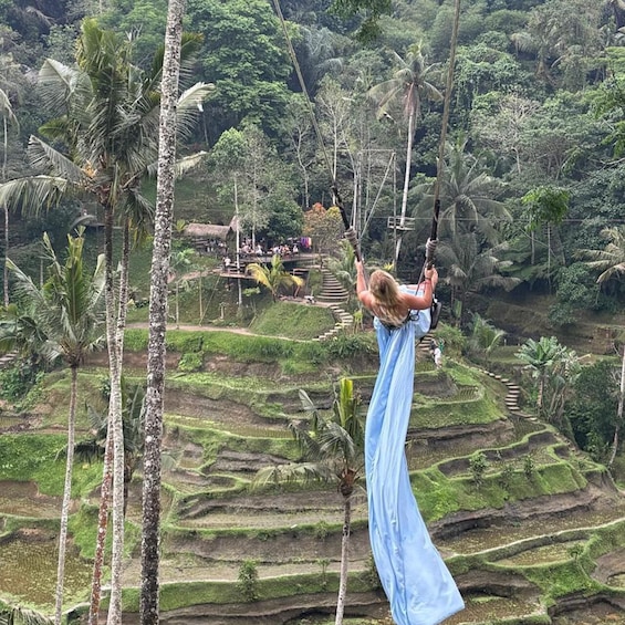 A person swinging on a vine in a lush, terraced landscape. 3