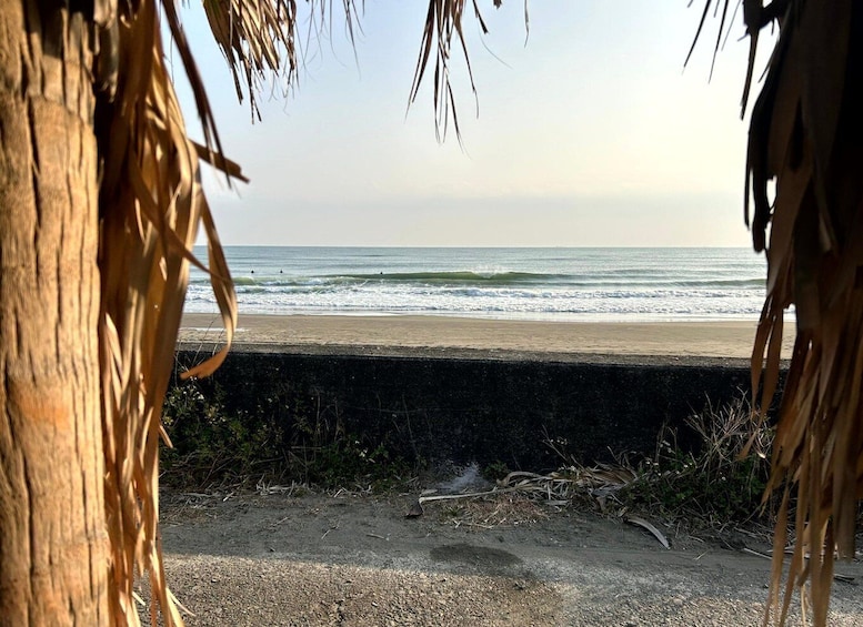 A beach with waves, a sandy shore, and dry vegetation. 1