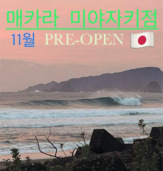 A coastal scene with waves, rocks, and a flag. 3