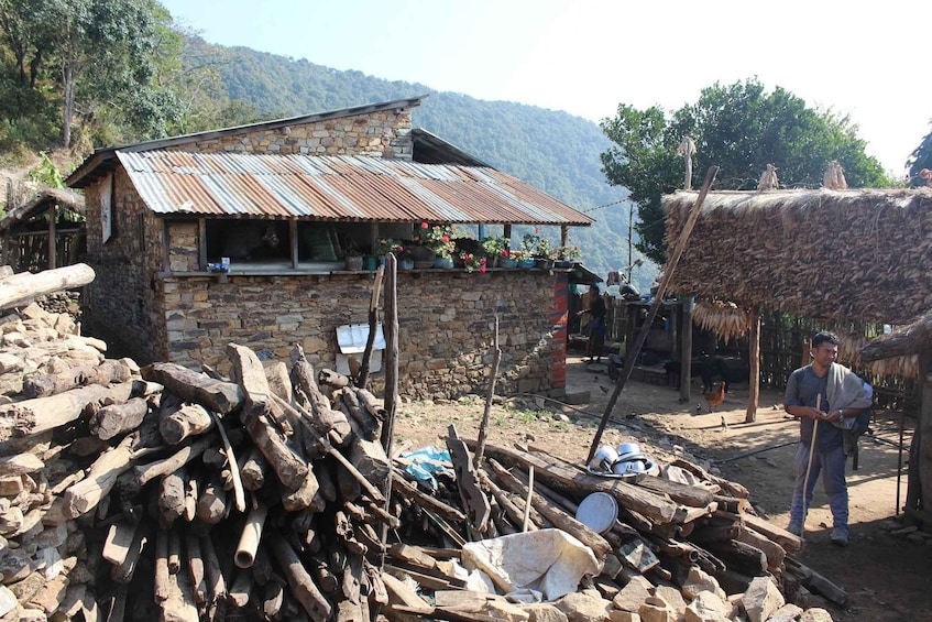 A rustic stone building with a corrugated metal roof, surrounded by a pile of firewood and a thatched-roof structure. 4