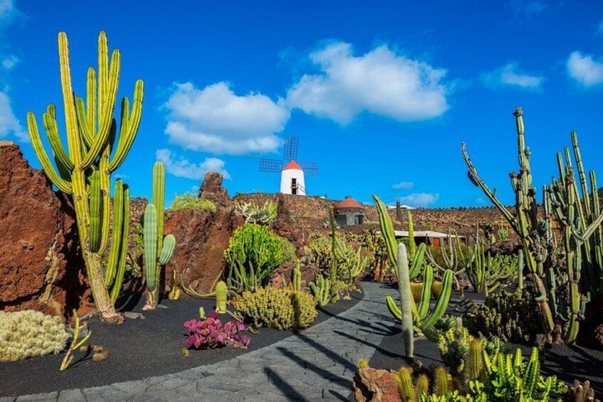 Private Wine & Tapas Private Shore Tour – Lanzarote 3