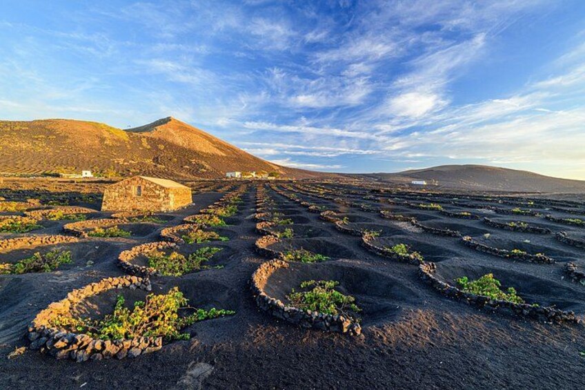 Private Wine & Tapas Private Shore Tour – Lanzarote 2