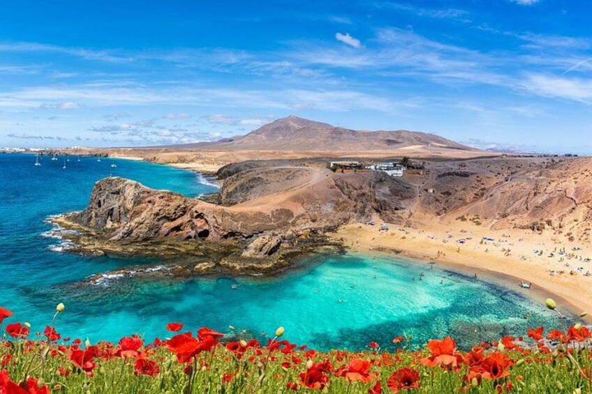 Private Wine & Tapas Private Shore Tour – Lanzarote 1