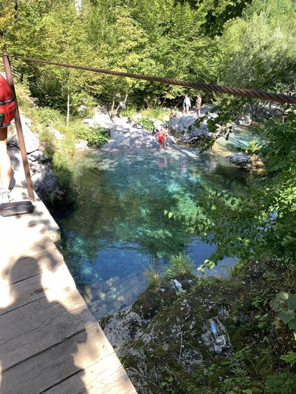 A clear water body surrounded by greenery, a wooden platform, and a rope bridge. 4